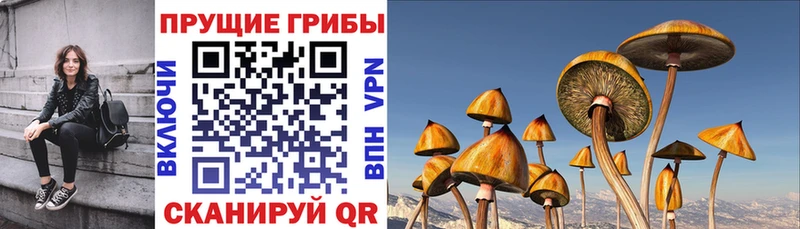 Галлюциногенные грибы MAGIC MUSHROOMS  Белая Калитва 