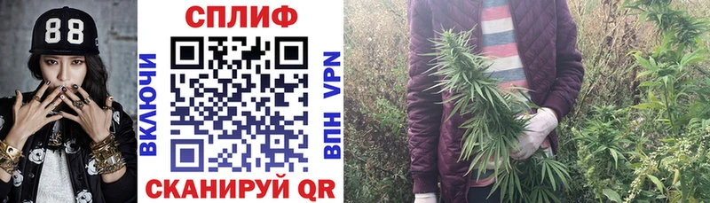 наркошоп  hydra   Конопля конопля  Белая Калитва 